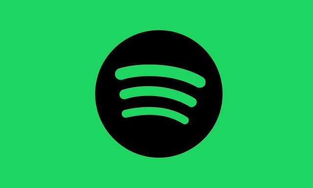 Polecane akcesoria do streamingu: co warto mieć na wyposażeniu?
