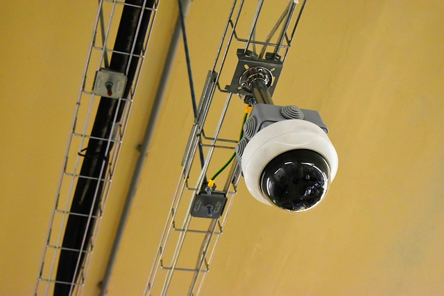Jak opracowałem własną, energooszczędną platformę do monitorowania kondycji drzew miejskich za pomocą niskobudżetowych czujników IoT